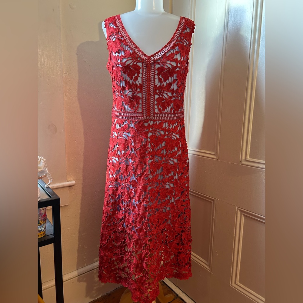 Echoo Floral Lace Midi Dress